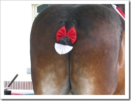 Ass