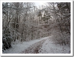 Walk