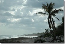 rivieraMaya