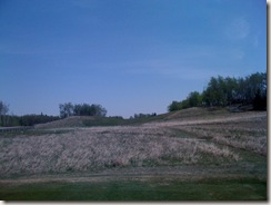 iPhone Pics 005