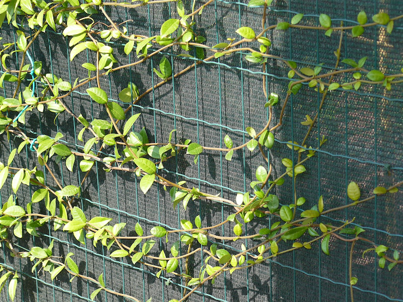P1020833.JPG