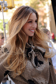 Whitney Port Long Wavy Cut