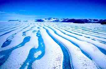 The unique ice shelves on the north coast of Ellesmere Island, such as the Ward Hunt Ice Shelf shown in this photo, have distinctive white ridges of ice and snow that are cut every few hundred metres with ribbons of turquoise melt water that collects in troughs on the ice’s surface. The unique ice shelves on the north coast of Ellesmere Island, such as the Ward Hunt Ice Shelf shown in this photo, have distinctive white ridges of ice and snow that are cut every few hundred metres with ribbons of turquoise melt water that collects in troughs on the ice’s surface.