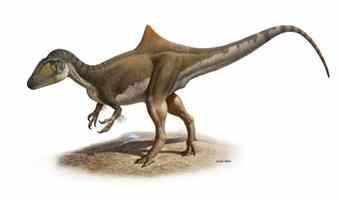 Handout photo released by Nature magazine shows the reconstitution of a new species of dinosaur Handout photo released by Nature magazine shows the reconstitution of a new species of dinosaur
