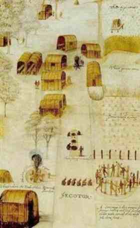John White drawing of Secotan Village, 1585 John White drawing of Secotan Village, 1585