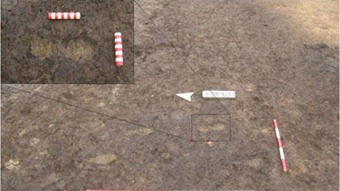 Roman child's footprints uncovered at A1 road widening. Photo: Northern Archaeological Associates Roman_Footprint_02