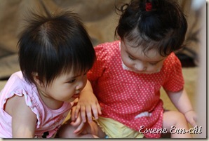 IMG_0906 IMG_0906