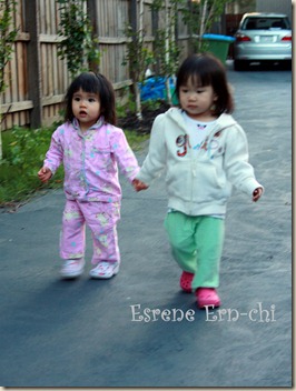 IMG_4631 IMG_4631