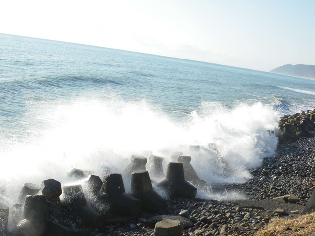 [IMGP0267_1.jpg]