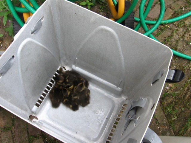 [IMG_2189_3_2[5].jpg]