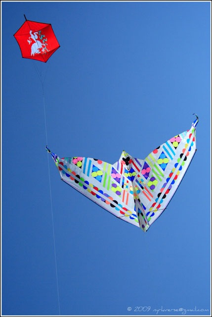 kites01