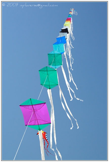 kites05