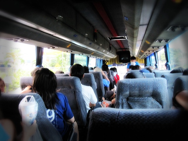 [fakevignettebus[5].jpg]