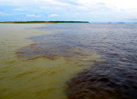 www.philflanagan.com Photo