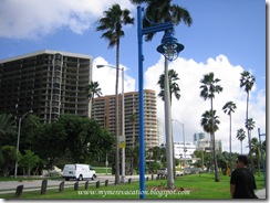 IMG_3319 IMG_3319