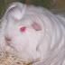 100_4121.JPG