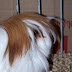 100_6303.JPG