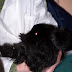 100_6223.JPG