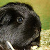 DSCF5038.JPG