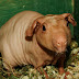 DSCF5020.JPG
