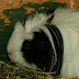 DSCF5022.JPG
