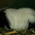 DSCF5025.JPG