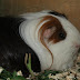DSCF4958.JPG