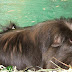 DSCF4964.JPG