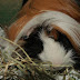 DSCF4969.JPG