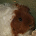 DSCF4974.JPG