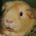 DSCF4981.JPG