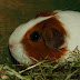 DSCF4984.JPG