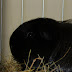 DSCF2430.JPG
