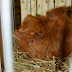 DSCF2453.JPG