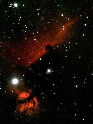 Horsehead and Christmas Tree Nebulae