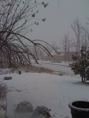 [snow in march[4].jpg]