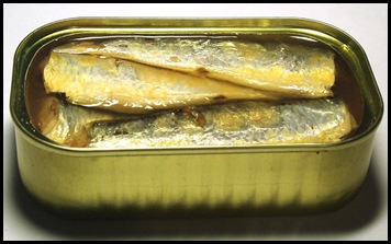 sardines 3