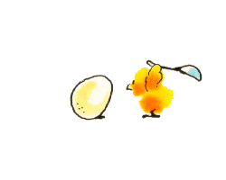 chicken-egg