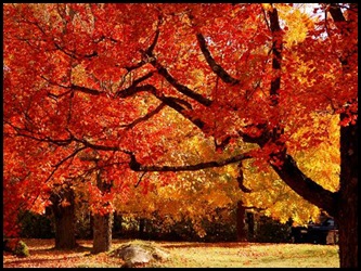 fall2