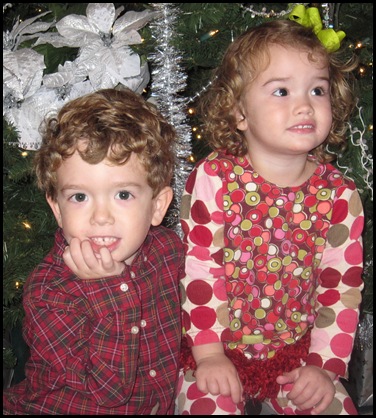 c and k tree