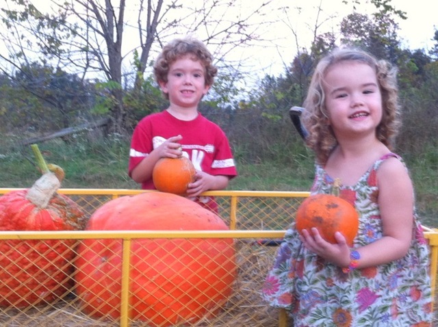 [pumpkin patch 2[4].jpg]