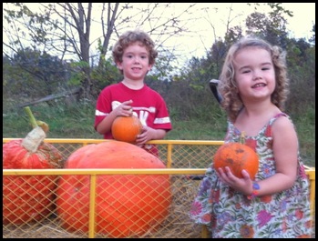 pumpkin patch