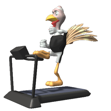 [fit_turkey_treadmill_sprint_hg_clr[2].gif]
