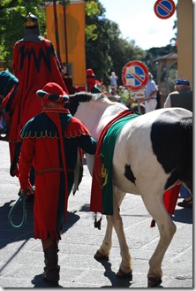 DSC_5529 DSC_5529