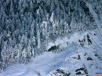 Click to view Winter + Beautiful + Nature Wallpaper [winter 35 1600x1200px.jpg] in bigger size