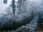 Click to view Winter + Beautiful + Nature Wallpaper [winter 01 1600x1200px.jpg] in bigger size