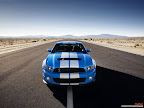 Click to view FORD + CAR + SHELBY + MUSTANG Wallpaper [Shelby GT500 16 1600x1200px.jpg] in bigger size