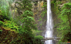 Click to view NATURE + NATURAL + 1680x1050 Wallpaper [Multnomah Falls Oregon.jpg] in bigger size