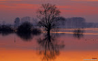 Click to view NATURE + NATURAL + 1680x1050 Wallpaper [Flooded River at Dusk Ijsselstreek Region Holland The Netherlands.jpg] in bigger size
