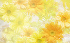 Click to view WOMEN + SPECIAL + 1920x1200 Wallpaper [women.special.041.jpg] in bigger size